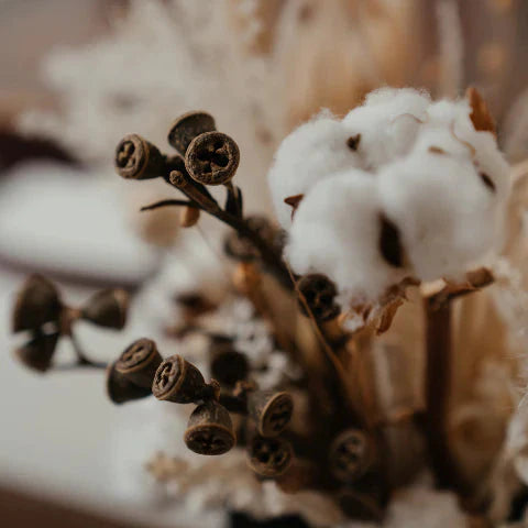 Behind the Seams: Our Sustainable Fabric