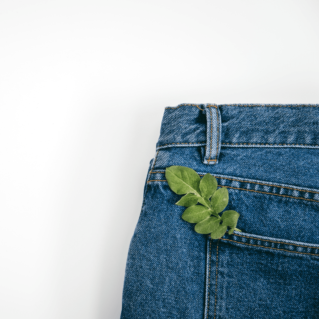 Best Sustainable Clothing Brands: Your Ultimate Guide