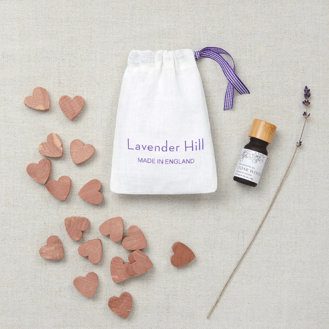 How To Get Rid Of Moths At Home