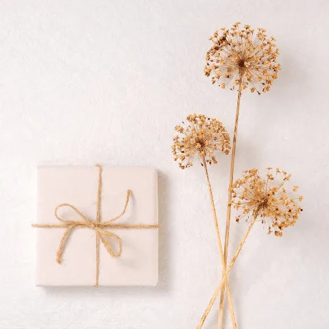 Mother’s Day Gifts