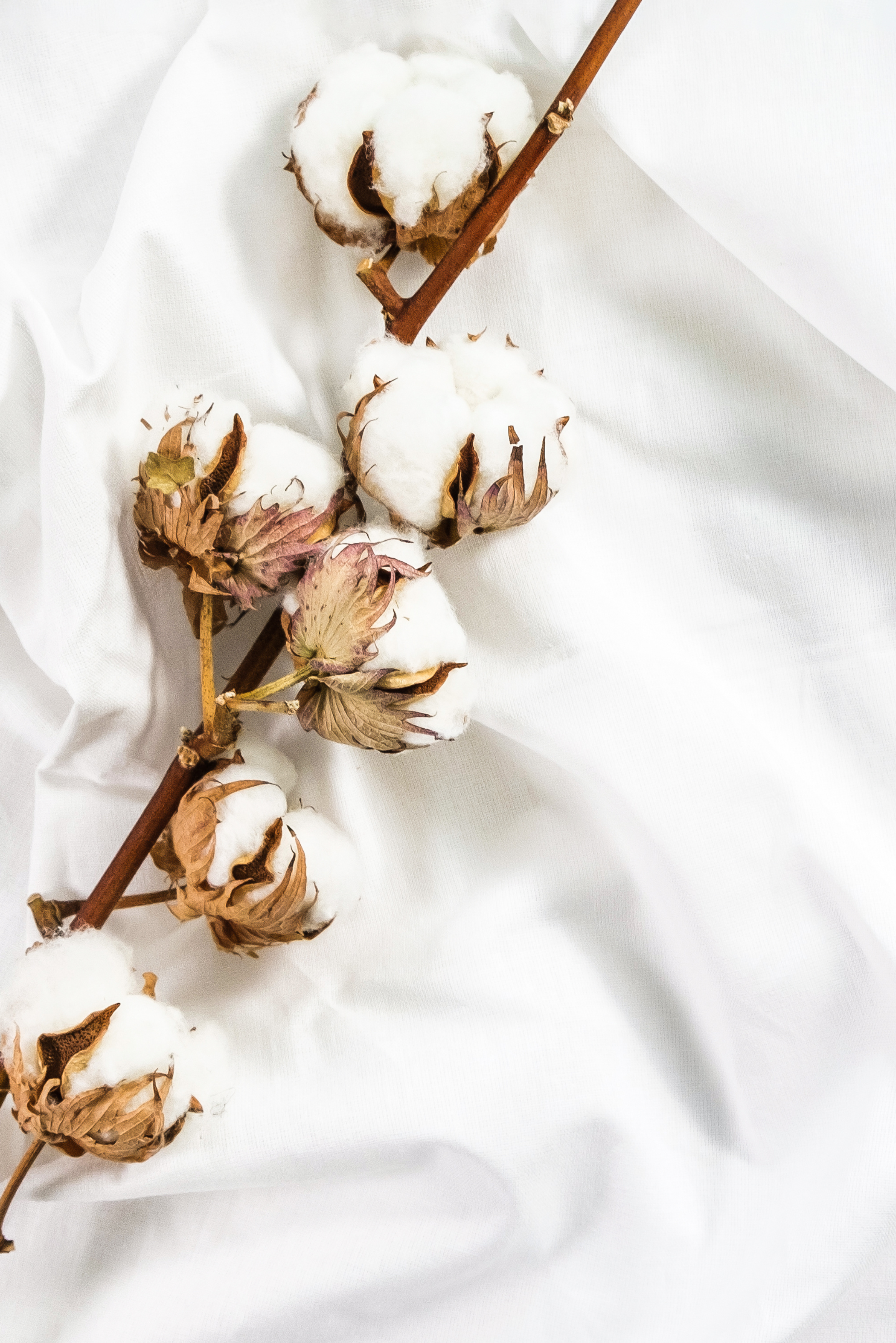 Cotton_Quality_Fabric_V-Neck_T-Shirt_Blog